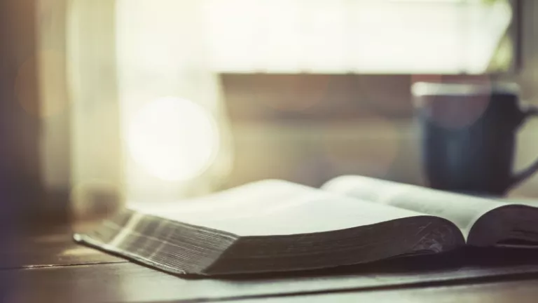 Livre posé sur une table